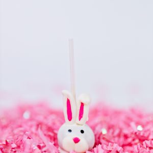 Cake Pop Bunnies
