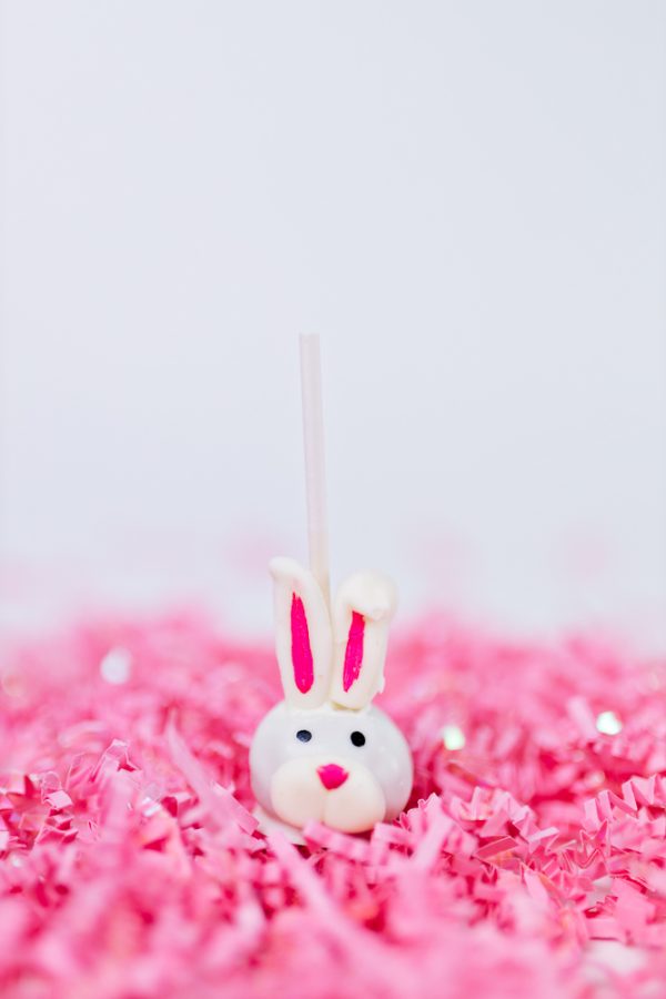 Cake Pop Bunnies
