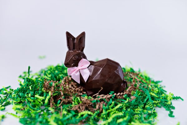 Chocolate Bunny - Image 2