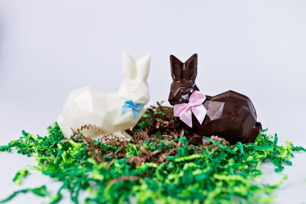 Chocolate Bunny - Image 3